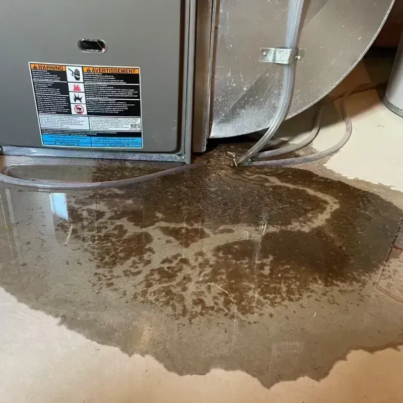 Appliance Leak Cleanup in Milan, IL